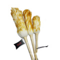 Long wooden handle dust removal wool brush